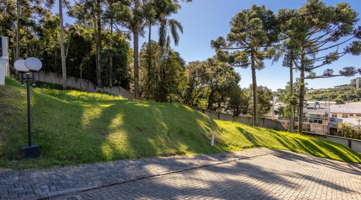 WhatsApp Image 2025-07-08 at 10.31.06