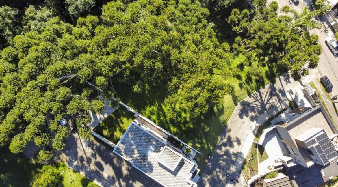 WhatsApp Image 2025-07-08 at 10.31.08 (1)