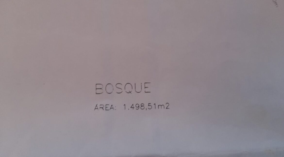 WhatsApp Image 2025-07-08 at 10.31.10 (2)